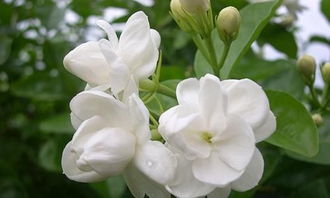 亲子游 与孩子共赴超自然之境，探寻成长与教育的新维度